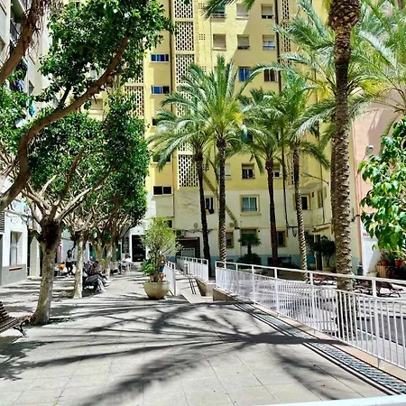 Pl Ifach Solymar